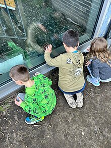Foto: drei Kinder putzen das Fenster