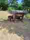 abenteuerspielplatz2025-11