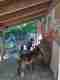abenteuerspielplatz2025-16